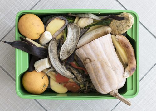 légumes et biodéchets de restaurant dans un seau